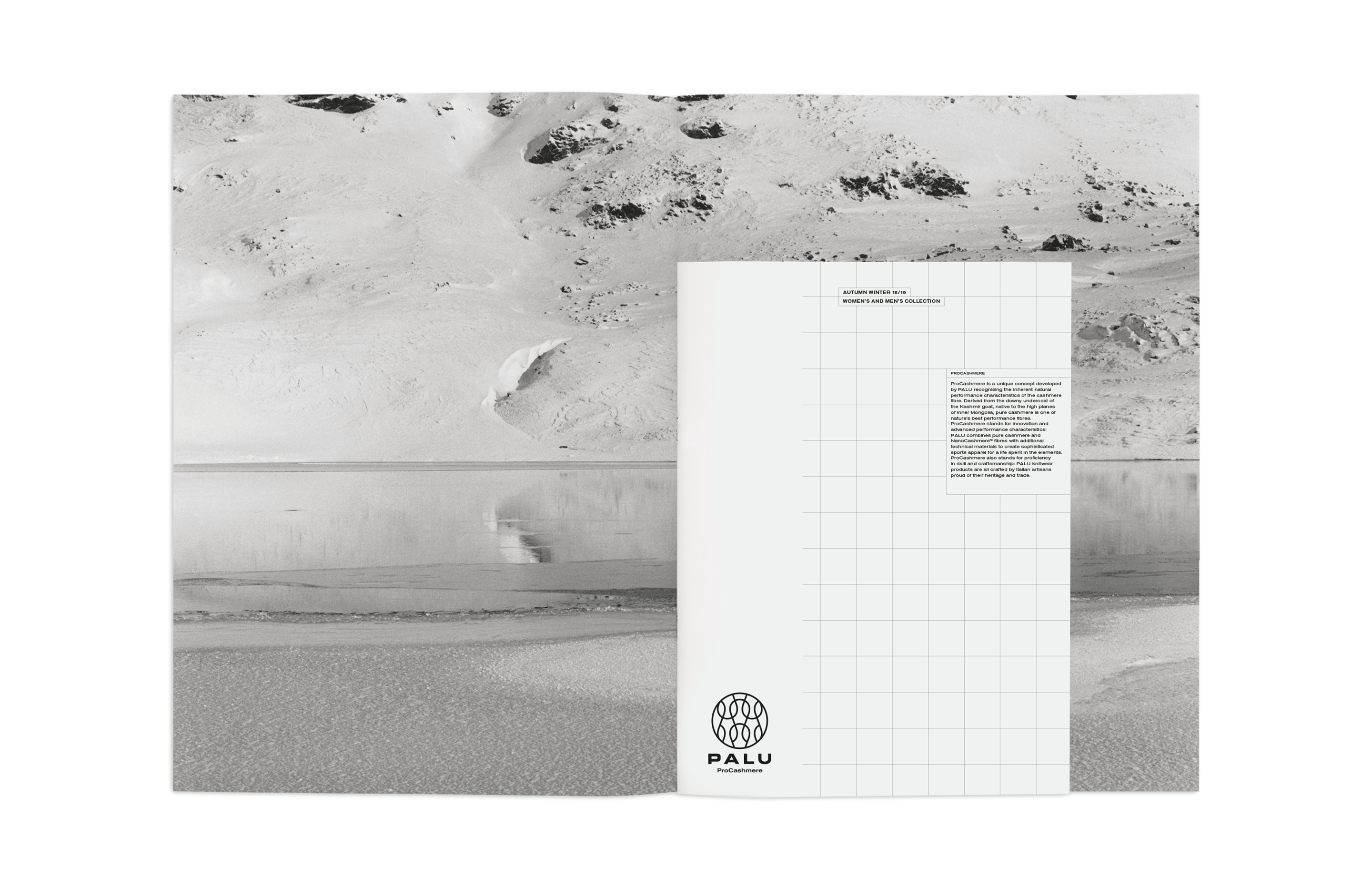 Identity and lookbook design